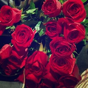 Meet your Posher, Karen